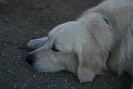 �������� ������� ������ - IMG_6000.JPG