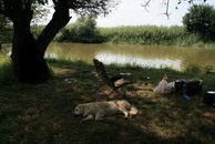 �������� ������� ������ - IMG_6008.JPG