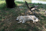 �������� ������� ������ - IMG_6009.JPG