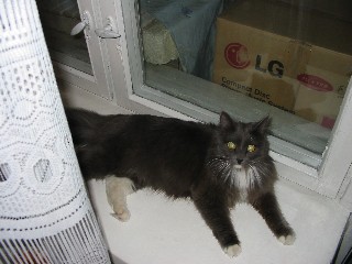 �������� ������� ������ - IMG_0777.JPG