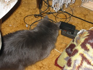 �������� ������� ������ - IMG_0778.JPG