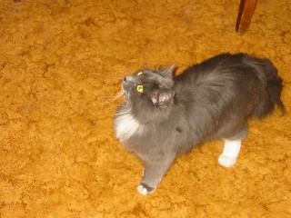 �������� ������� ������ - IMG_0780.JPG