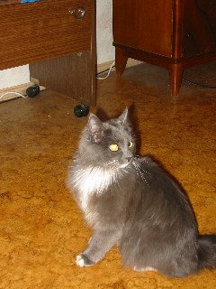 �������� ������� ������ - IMG_0783.JPG