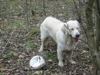 �������� ������� ������ - IMG_1540.JPG