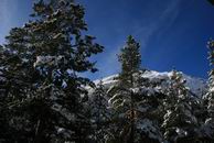 �������� ������� ������ - IMG_8467.JPG