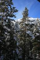 �������� ������� ������ - IMG_8469.JPG