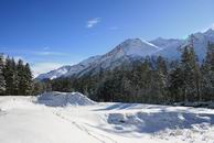 �������� ������� ������ - IMG_8477.JPG