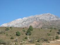 �������� ������� ������ - IMG_2130.JPG