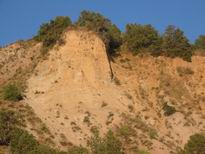 �������� ������� ������ - IMG_2135.JPG