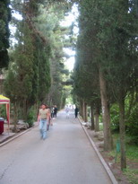 �������� ������� ������ - IMG_3512.JPG