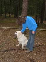 �������� ������� ������ - IMG_1455.JPG