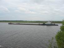 �������� ������� ������ - IMG_3808.JPG