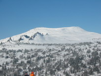 �������� ������� ������ - IMG_2994.JPG