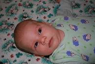 �������� ������� ������ - IMG_7028.JPG