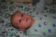 �������� ������� ������ - IMG_7029.JPG