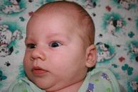 �������� ������� ������ - IMG_7040.JPG