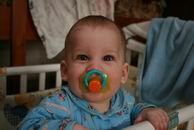 �������� ������� ������ - IMG_7817.JPG