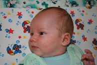 �������� ������� ������ - IMG_7010.JPG