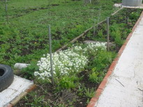 �������� ������� ������ - IMG_4044.JPG