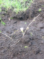 �������� ������� ������ - IMG_4045.JPG